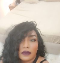 كاتي دلوع - Transsexual escort in Muscat