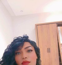 كاتي دلوع مسقط - Acompañantes transexual in Muscat