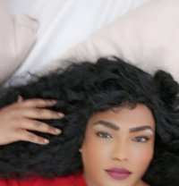 كاتي دلوع مسقط - Acompañantes transexual in Muscat