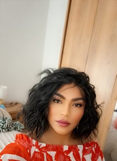 كاتي دلوع مسقط - Transsexual escort in Muscat Photo 1 of 2
