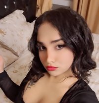 الين - Transsexual escort in Amman
