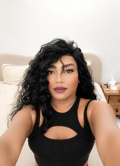 كاتي دلوع مسقط - Transsexual escort in Muscat Photo 1 of 1