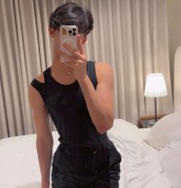 دلوع مسقط - Acompañantes transexual in Muscat