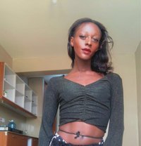 አልማ - Acompañantes transexual in Nairobi