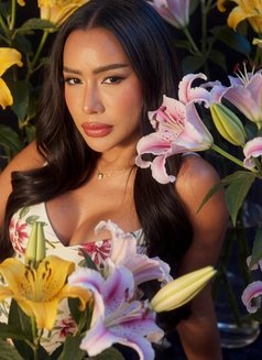 Ｓ𝕒Ｂя𝕚ภα ѕ𝐏𝑒ℓ𝔥ᗴⓁℓ ➷➷➷➷➷ - Transsexual escort in Dubai Photo 26 of 30