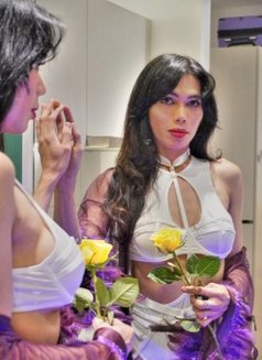 𝐅𝐈𝐍𝐄𝐒𝐓 𝐒𝐄𝐋𝐄𝐂𝐓𝐈𝐎𝐍 - Acompañantes transexual in Kuala Lumpur Photo 10 of 19