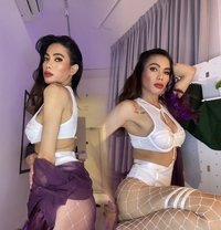 𝐅𝐈𝐍𝐄𝐒𝐓 𝐒𝐄𝐋𝐄𝐂𝐓𝐈𝐎𝐍 - Acompañantes transexual in Kuala Lumpur