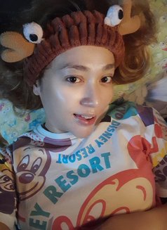 ใโ
๐๐๐๐๐๐๐๐๐๐๐ ๐๐๐๐๐ โ
ๅฝก - Transsexual escort in Manila Photo 30 of 30