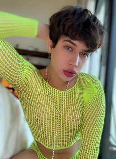 “A cute, soft, young Lebanese guy.”🇱🇧 - Acompañantes masculino in Dubai Photo 3 of 10