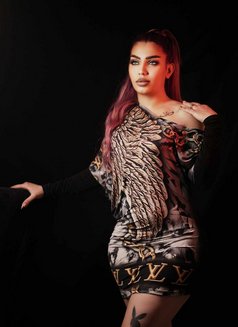 روزا - puta in Erbil Photo 15 of 20