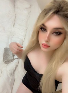 🤍شمس - Transsexual escort in Beirut Photo 15 of 15