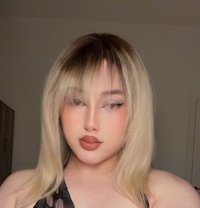 Shams - Acompañantes transexual in Beirut