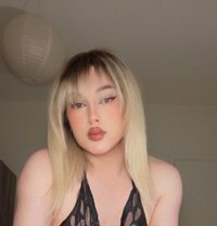 Shams - Acompañantes transexual in Beirut