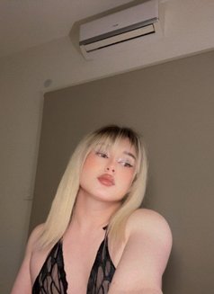 Shams - Transsexual escort in Beirut Photo 4 of 30