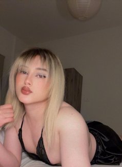 Shams - Transsexual escort in Beirut Photo 13 of 30