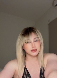 Shams - Transsexual escort in Beirut Photo 19 of 30