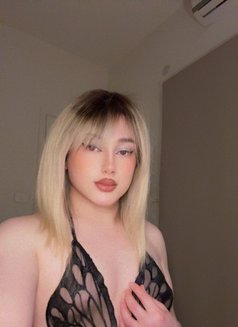 Shams - Transsexual escort in Beirut Photo 21 of 30