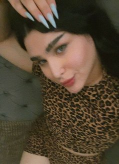شيميل كادي - Acompañantes transexual in Erbil Photo 8 of 8
