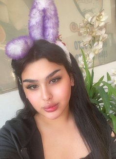 شيميل كادي - Acompañantes transexual in Erbil Photo 10 of 10