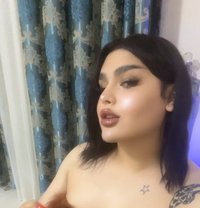 شيميل كادي - Transsexual escort in Erbil