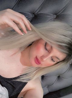 شوشو دلوع 🕊️ - Male escort in Beirut Photo 1 of 9