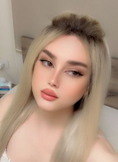 شمس دلوع 🕊️ - Male escort in Beirut Photo 3 of 11