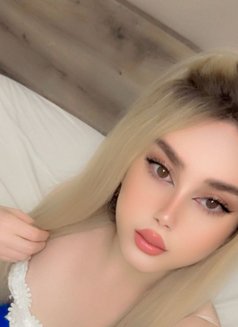 شمس دلوع 🕊️ - Male escort in Beirut Photo 7 of 11