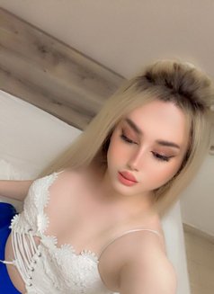 شمس دلوع 🕊️ - Male escort in Beirut Photo 8 of 11