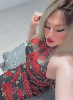 شيميل شوشه - Male escort in Erbil Photo 13 of 14
