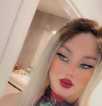 شيميل شوشه - Acompañantes masculino in Erbil