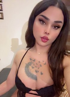 روز - Transsexual escort in Amman Photo 4 of 6