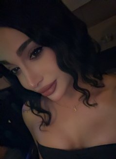 أنجي - Transsexual escort in Amman Photo 12 of 18