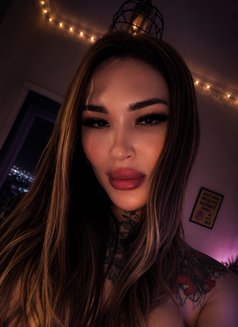 Молли 🇰🇿 - Transsexual escort agency in İstanbul Photo 16 of 19