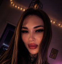 Молли 🇷🇺 - Transsexual escort agency in İstanbul