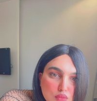 سوسو ماجك - Transsexual escort in Jeddah