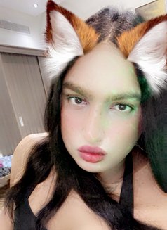 شيميل لولو - Acompañantes transexual in Riyadh Photo 13 of 18