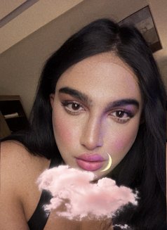 شيميل لولو - Acompañantes transexual in Riyadh Photo 16 of 18