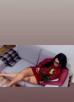 الملكة شيميل فرولة - Transsexual escort in Riyadh Photo 19 of 23