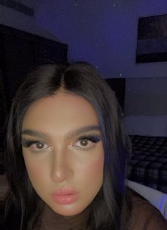الملكة شيميل فرولة - Transsexual escort in Riyadh Photo 21 of 23