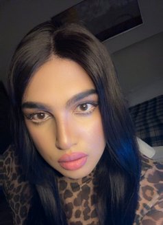 الملكة شيميل فرولة - Transsexual escort in Riyadh Photo 23 of 23