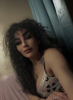 شمس - escort in Beirut Photo 1 of 10