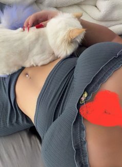 هلا - escort in Erbil Photo 2 of 2