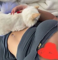 هلا - puta in Erbil