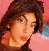 لولو - Transsexual escort in Beirut