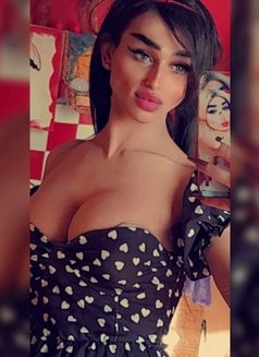 ايلا🧿 - Transsexual escort in Beirut Photo 12 of 23