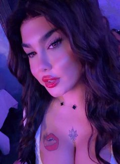 بيسو اللبناني - Transsexual escort in Beirut Photo 11 of 13