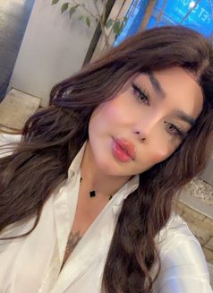 بيسو اللبناني - Transsexual escort in Beirut Photo 12 of 13