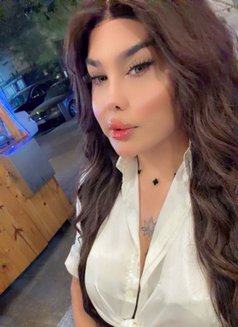 بيسو اللبناني - Transsexual escort in Beirut Photo 13 of 13