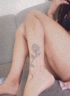 محتشمة - Agencia de acompañantes transexuales in Beirut Photo 5 of 9