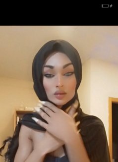 محتشمة - Agencia de acompañantes transexuales in Beirut Photo 7 of 9